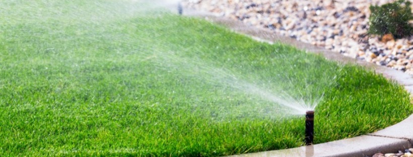 Backflow Prevention