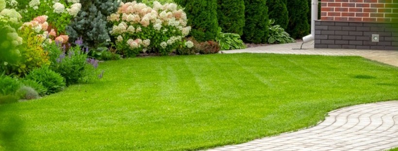 Lawn Care