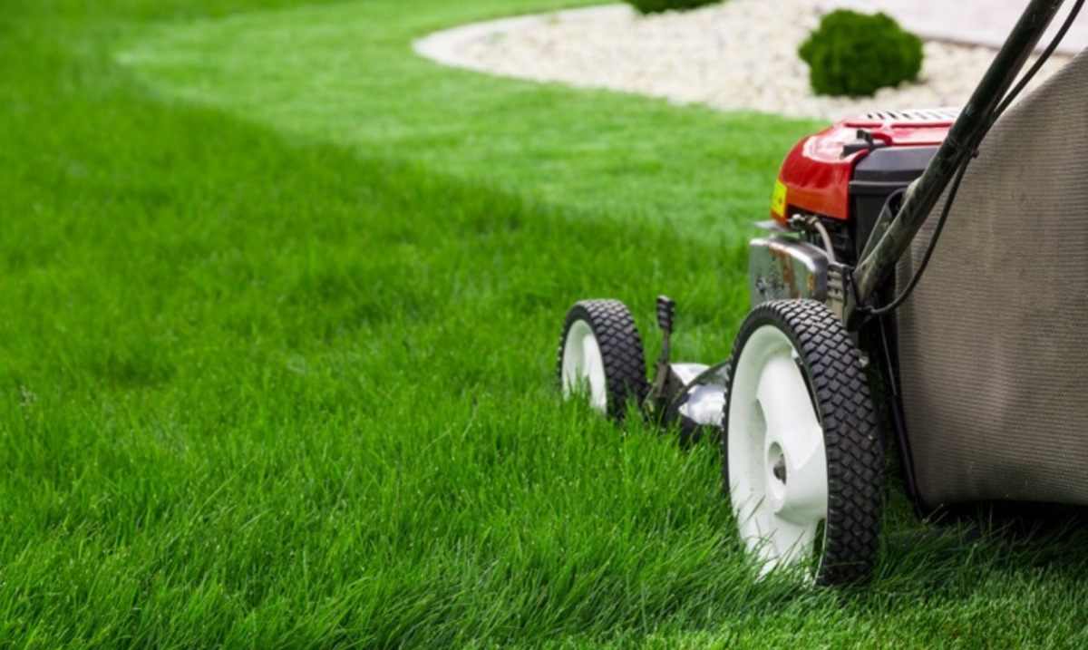 Outlook Lawn team